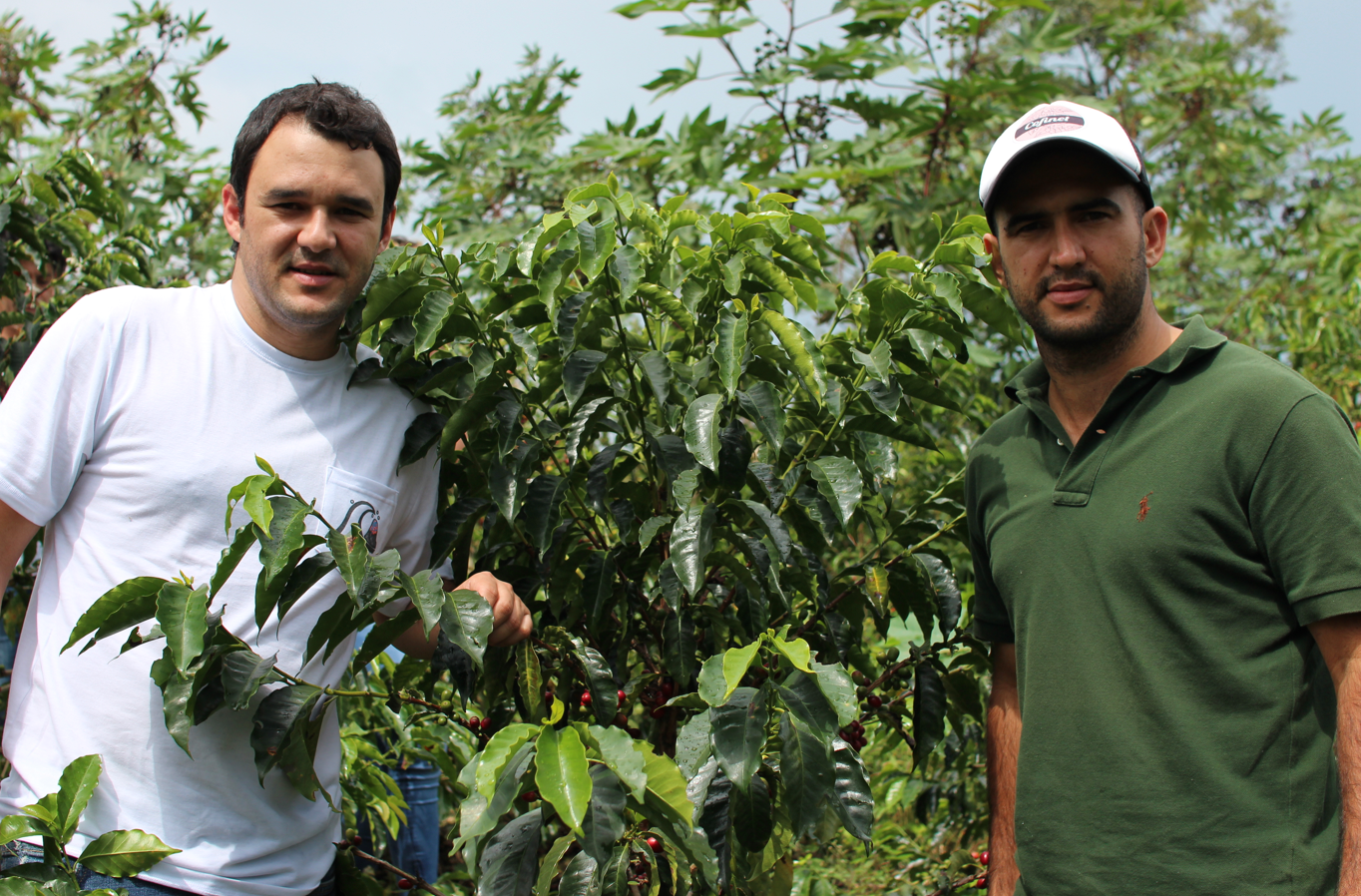 SL28 Coffee  – "The Resilient rarity of Eden"